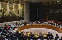 El Consejo de Seguridad aprueba investigar la denuncias de ataques con armas químicas en Siria