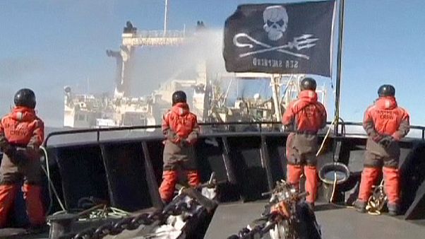 В столице Фарерских островов осудили пятерых активистов SeaShepherd В столице Фарерских островов осудили пятерых активистов SeaShepherd