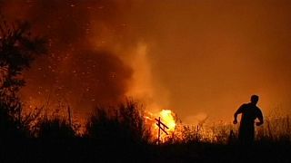 İspanya'nın batısında orman yangını