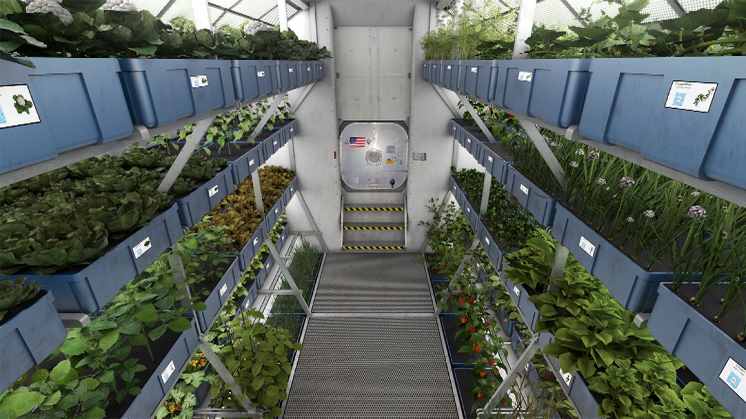 ISS astronauts poised to eat lettuce grown in space