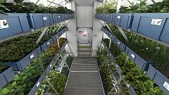 ISS astronauts poised to eat lettuce grown in space