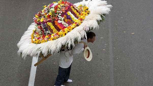 Festival de las flores en Colombia Festival de las flores en Colombia