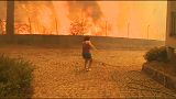 گرما و آتش سوزی جنگلها در پرتغال