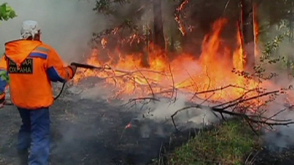 Ρωσία: Μεγάλες πυρκαγιές εξαφανίζουν τα δάση