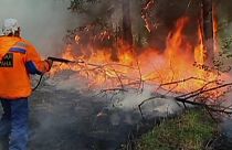 Ruslar orman yangını için seferber oldu