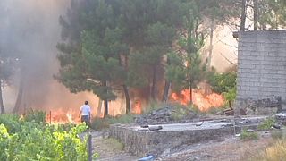 Schwere Waldbrände wüten in Portugal und Spanien