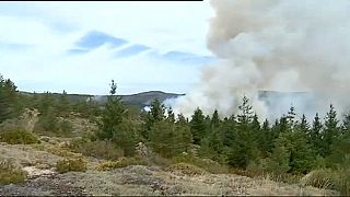 El incendio en el Parque Natural portugués de Serra da Estrela ya ha arrasado 800 hectáreas