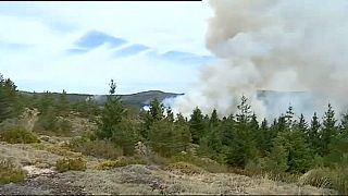 Portuguese firefighters battle blaze to save forests