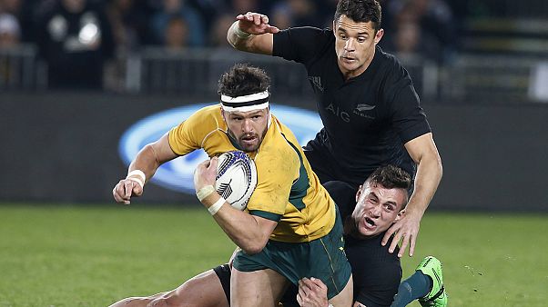Les All Blacks se vengent des Wallabies Les All Blacks se vengent des Wallabies