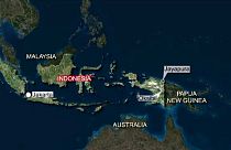Indonesia: Trigana Air flight crashes over Papua