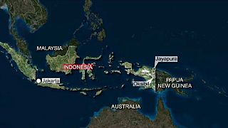 Indonesia: Trigana Air flight crashes over Papua