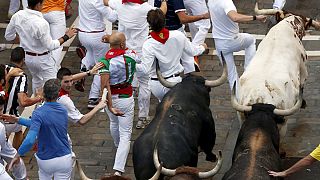 Pamplona'da bu kez boğa kazandı