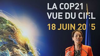 France : la loi sur la transition énergétique a été promulguée
