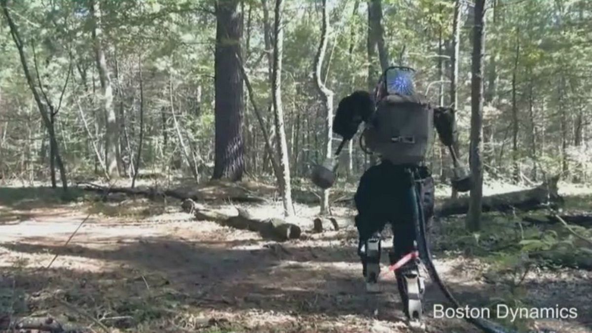 Erdőben sétált Atlas, az emberszerű robot