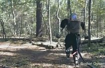 Google robótica: Atlas já corre pela floresta