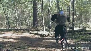 El robot bípedo Atlas se da una vuelta por el bosque