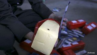 Rusya'da kaçak peynir operasyonu