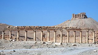 Syrie : l'EI décapite l'ancien chef du site archéologique de Palmyre
