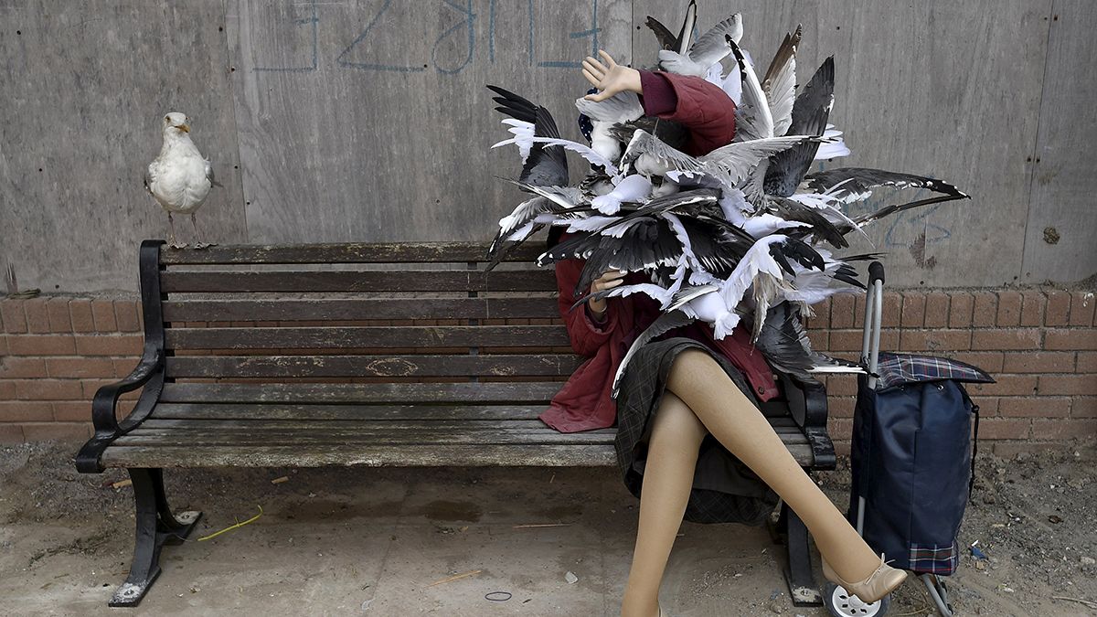 Banksy'in distopya tema parkı Dismaland'a büyük ilgi