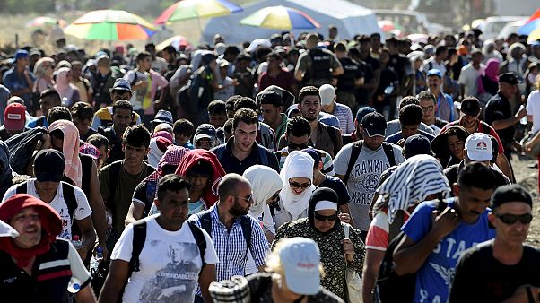 Makedonya sınırında bekleyen göçmenler Sırbistan'a gönderildi Makedonya sınırında bekleyen göçmenler Sırbistan'a gönderildi