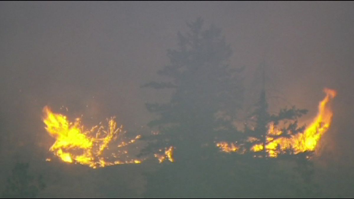 Лесные пожары в штате Вашингтон: борьба с огнем продолжается