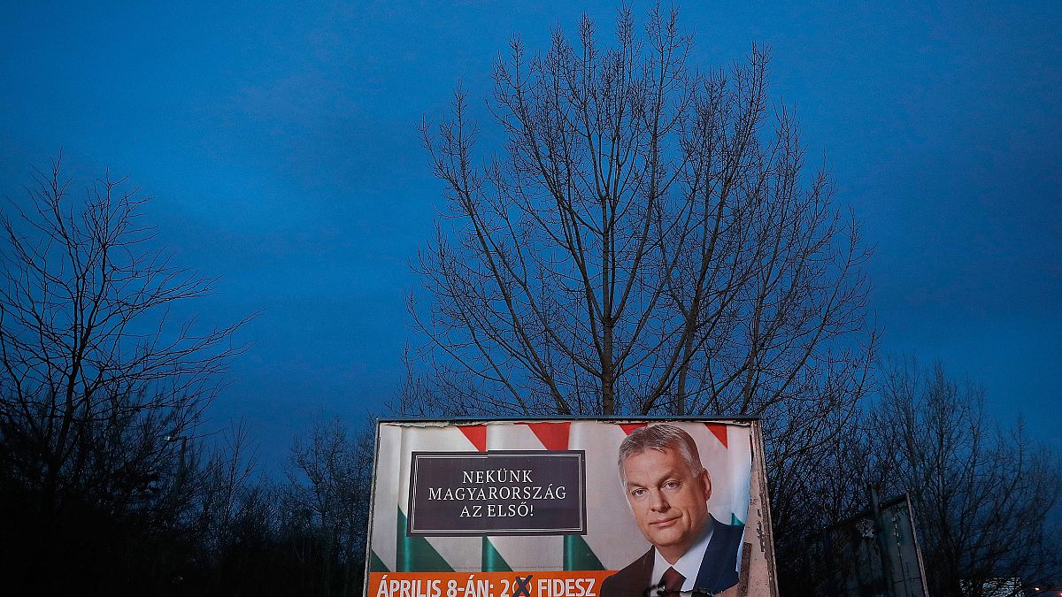 Image: Hungarian elections