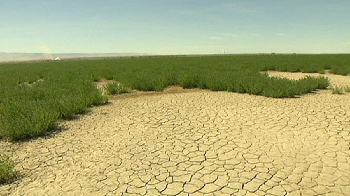 Su kıtlığı: 33 ülke 2040'ta aşırı su sıkıntısıyla karşı karşıya