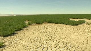 La scarsità d'acqua scatenerà nuove guerre