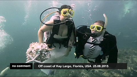 ¿Boda en el lugar más improbable del mundo?
