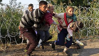 ادامه ورود مهاجران به مجارستان، نا کارآمدی سیم خاردارها در مرز با صربستان