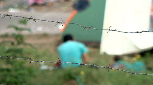 Épül a kerítés - továbbra is érkeznek a menekültek Épül a kerítés - továbbra is érkeznek a menekültek