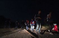 Immigration : renfort des policiers bulgares à la frontière hongro-serbe