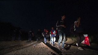 Migrant crisis: Joint border patrols by Bulgarian and Hungarian police