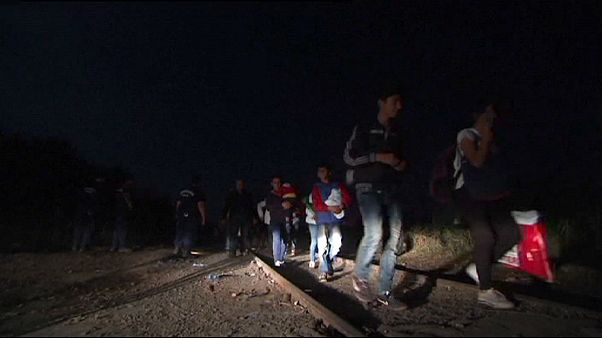 Ungarischer Grenzzaun zu Serbien steht - Ausweitung der Patrouillen Ungarischer Grenzzaun zu Serbien steht - Ausweitung der Patrouillen