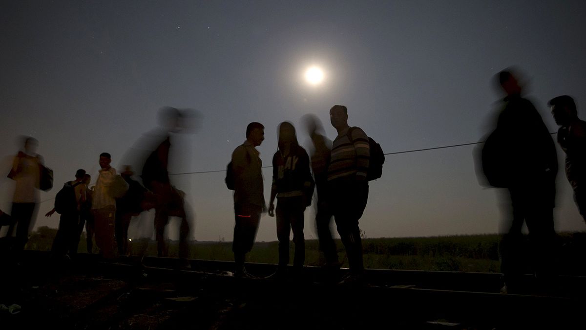 В грузовике на австрийско-венгерской границе обнаружены подростки из Афганистана