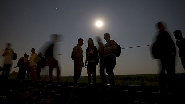 Polícia austríaca descobre camião com 24 jovens afegãos Polícia austríaca descobre camião com 24 jovens afegãos