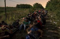 Crisi migranti: Telecamere nella notte alla frontiera serbo-ungherese