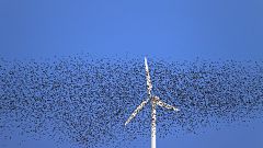 Image: A large flock of common starlings fly past a wind turbine
