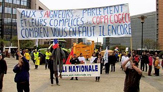 Frustrated farmers protest in Brussels over falling milk and meat prices