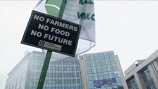 EU announces agricultural aid after farmers descend on Brussels