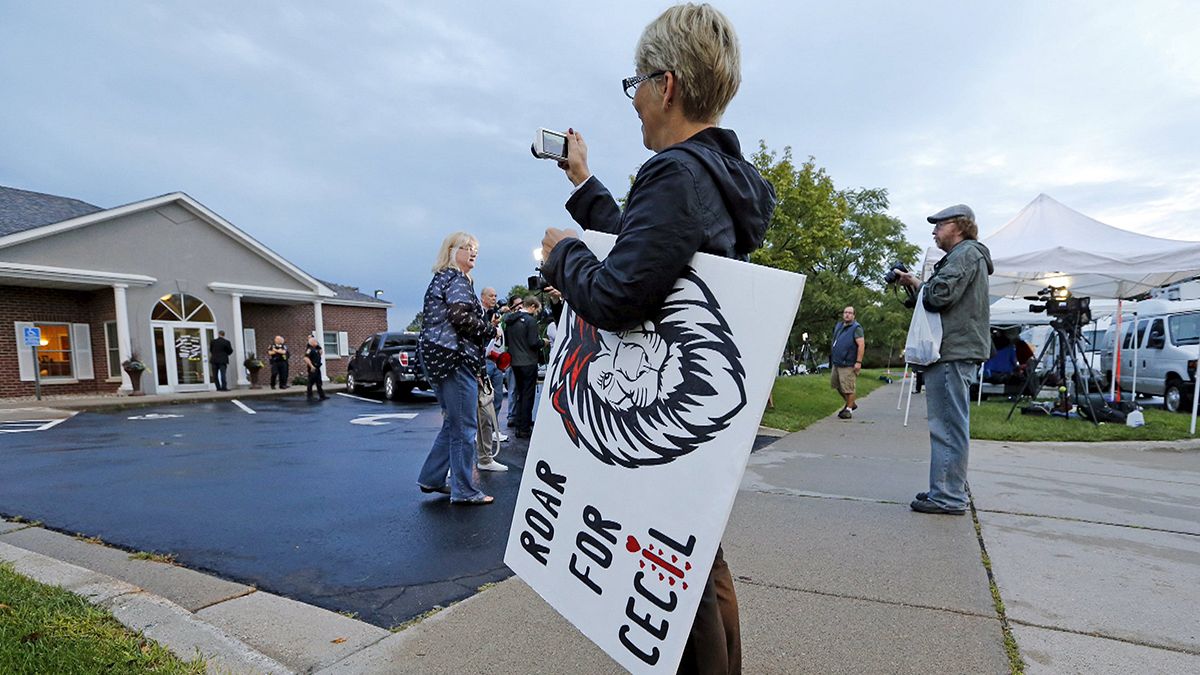 U.S. dentist who killed Cecil the lion returns to work