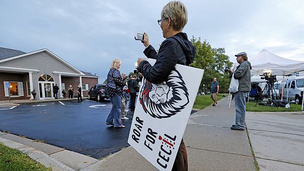 Usa, torna al lavoro il dentista che ha ucciso il leone Cecil Usa, torna al lavoro il dentista che ha ucciso il leone Cecil