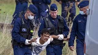 Escenas de histeria y caos en los centros de acogida de refugiados de Hungría