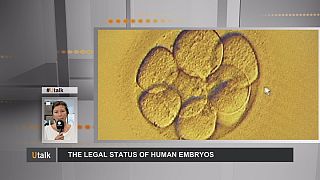 What is the legal status in Europe of human embryos?