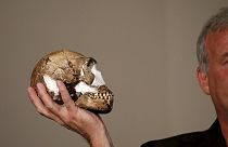 В ЮАР найдены останки Homo naledi - еще одного дальнего предка человека