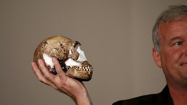 Új rokon a családfán: Homo Naledi Új rokon a családfán: Homo Naledi