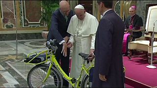 Papst fordert schnelle Maßnahmen im Kampf gegen Klimawandel