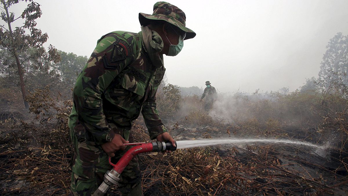 Feux de forêts indomptables en Indonésie