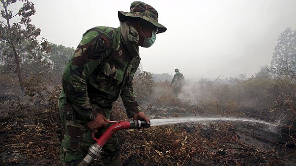 Incêndios em Sumatra afetam qualidade do ar na Indonésia, Singapura e Malásia Incêndios em Sumatra afetam qualidade do ar na Indonésia, Singapura e Malásia