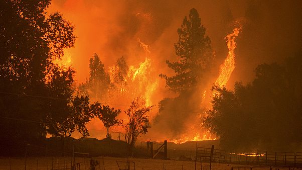 La Californie Dans L Enfer Des Flammes Euronews